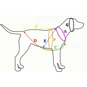 Geschirr Sonderanfertigungen nach Ihrem Wunsch (Speed, Sport Sled und Sled)
